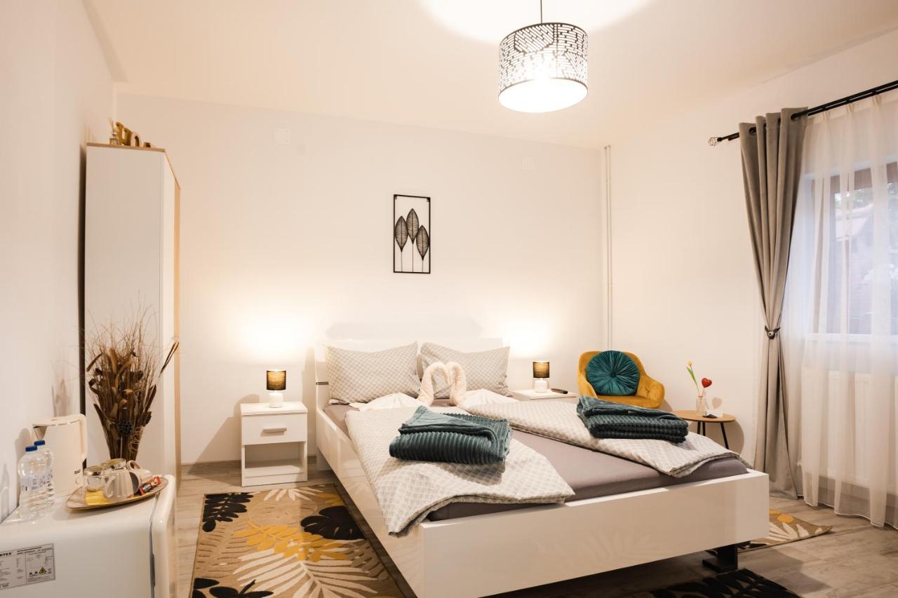 Casa Nitu Sibiu